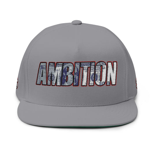 Ambition Embroidered Flat Bill Cap | Inspirational Hat for Dreamers, Stylish Snapback for Casual Wear, Unique Gift for Graduates, [...]